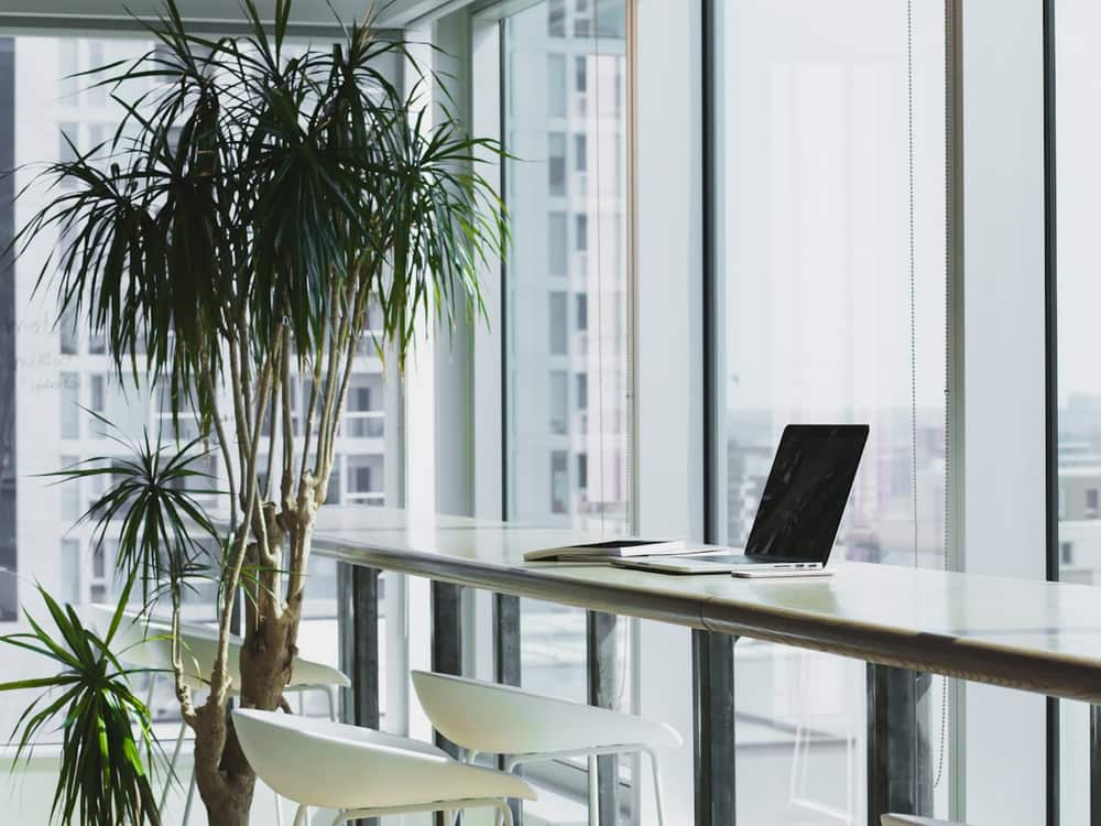 Puesto de trabajo junto a una ventana, con plantas y un portátil abierto